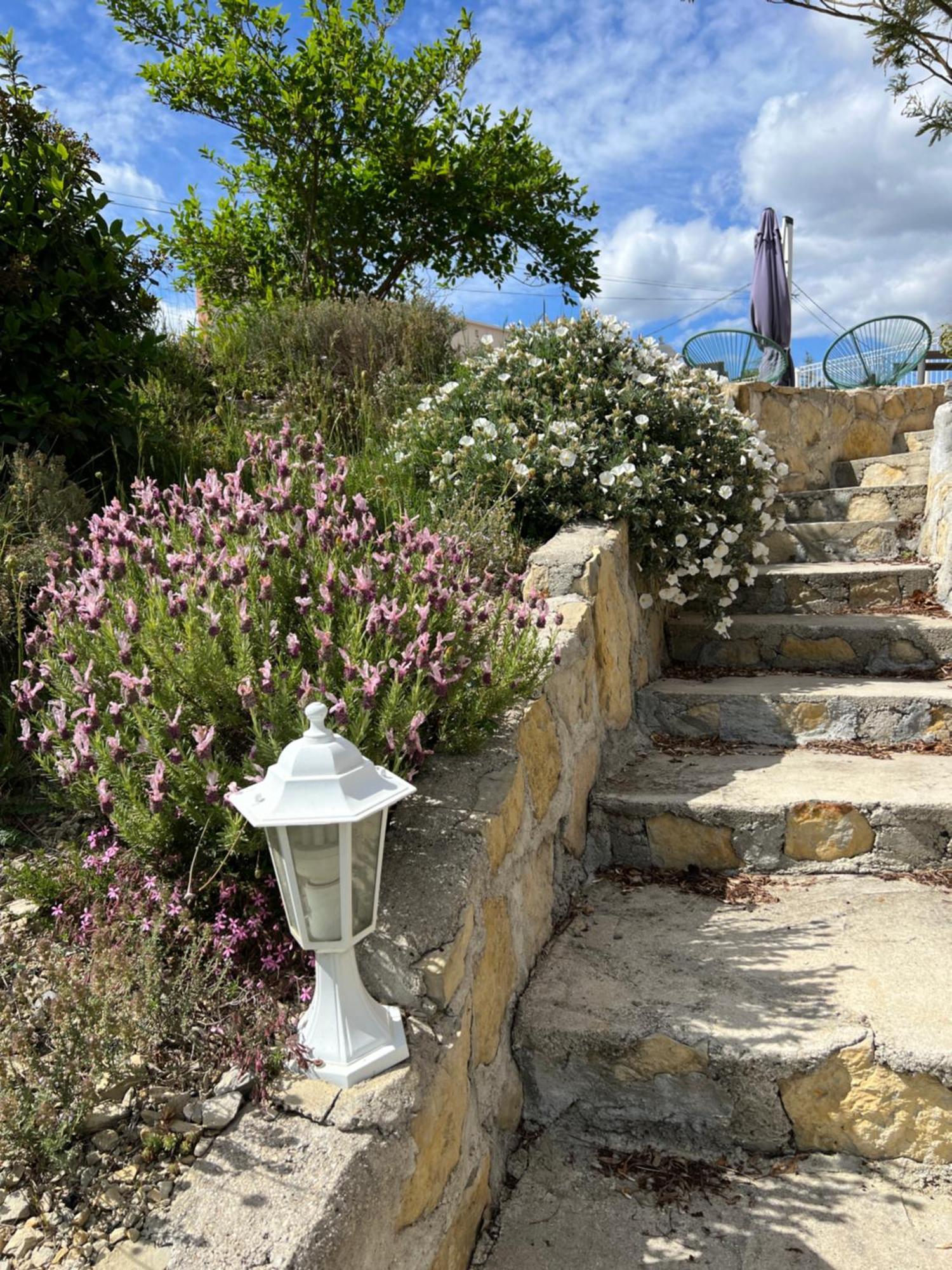 Le Gite Du Vigneron Lagorce  Exteriör bild